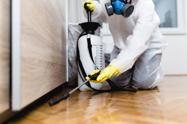 Best Residential Pest Control  in East Rockaway, NY