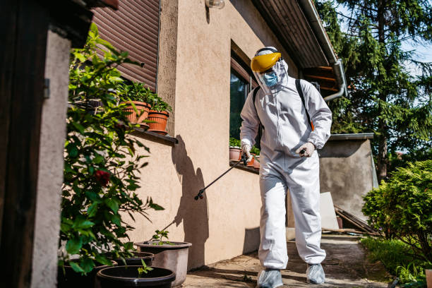 Wasp Removal Services in East Rockaway, NY
