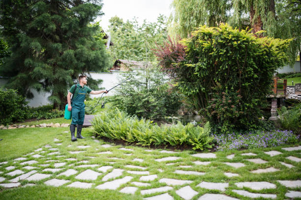 Best Mosquito Control Services  in East Rockaway, NY