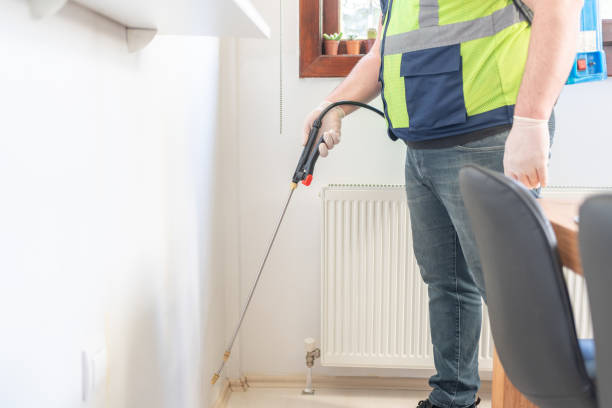Best Wasp Removal Services  in East Rockaway, NY
