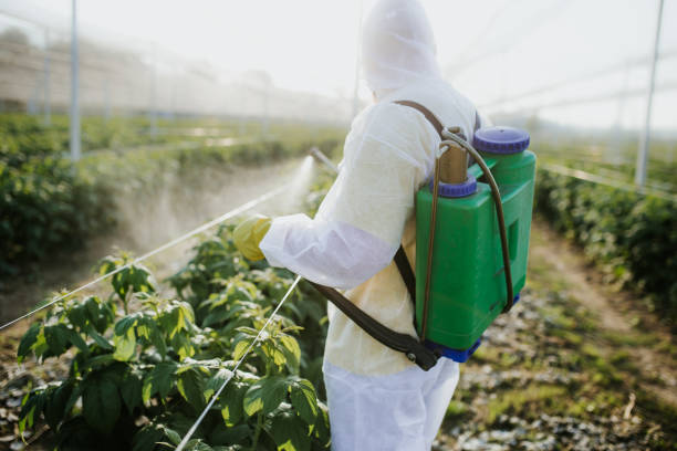 Best Commercial Pest Control Services  in East Rockaway, NY
